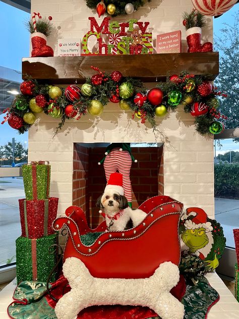 Veterinary Christmas Decor, Vet Christmas Decorations, Vet Clinic Christmas Decor, Skylight Decor, Pet Store Display, Dog Event, Christmas Pet Photos, Dog Christmas Photos, Pet Store Ideas