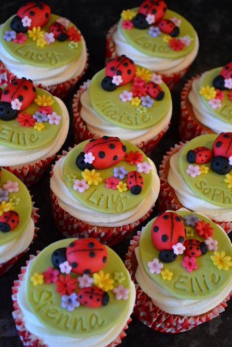 Ladybird decorated vanilla cupcakes. Ladybird Cupcakes, Ladybird Cake, Novelty Cupcakes, Mini Christmas Cakes, Ladybug Cakes, Ladybug Cake, Dessert Table Birthday, Jello Cake, Pastry Design