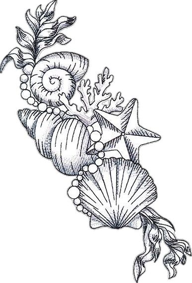 Seashell Shoulder Tattoo, Cute Seashell Drawing, Seashell Tattoo Sleeve, Ocean Theme Sleeve Tattoo, Unique Beach Tattoos, Treasure Tattoo Ideas, Unique Pretty Tattoos Beautiful, Beach Themed Tattoos For Women, Shell Tattoo Design