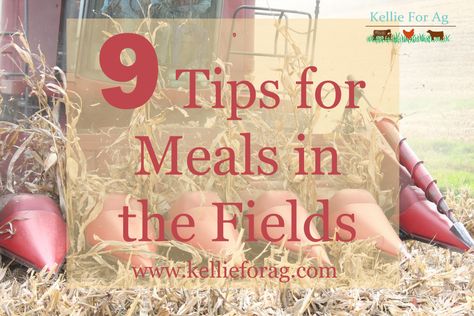 Take those men some #mealsinthefields #harvest15 www.kellieforag.com Harvest Lunch Ideas, Farmers Meals, Farmer Meals, Tractor Meals, Farm Wife Life, Farm Meals, Harvest Meals, Healthy Travel Food, Super Bowl Party Snacks