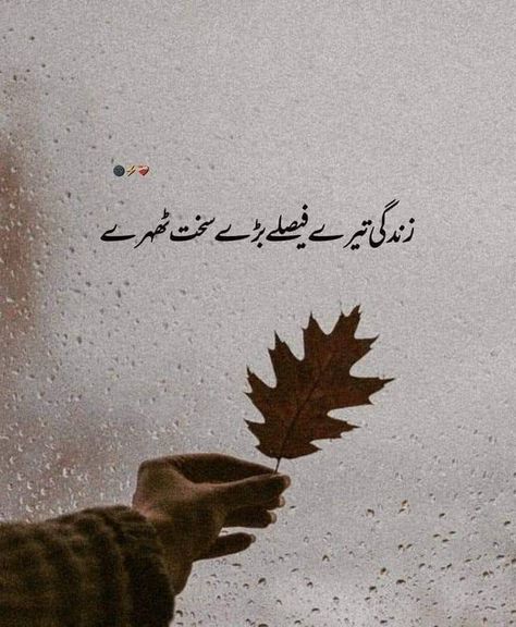 11 11 Aesthetic Quotes, Thought Pictures, Dear Diary Quotes, Short Lines, Bitter Truth, Poetry Photos, Impress Quotes, I Love Her Quotes, Iqbal Poetry