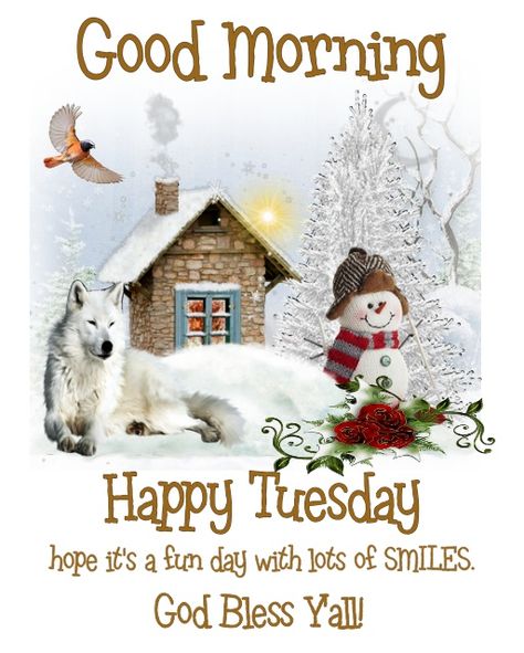 Good Morning Tuesday Winter, Good Morning God, Tuesday Greetings, Tuesday Images, Good Morning Winter, Good Morning Christmas, Morning Christmas, Tuesday Blessings, Morning Winter