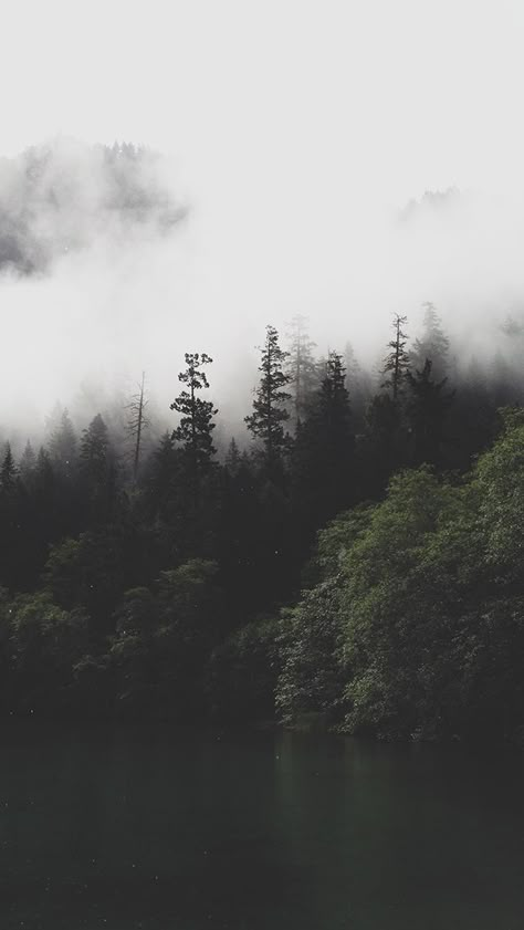 Mountain Forest Lake Misty #iPhone #5s #wallpaper Dark Naturalism, Trendy Wallpaper, Iphone Backgrounds, Stunning Wallpapers, Wild Nature, Nature Backgrounds, Nature Girl, Landscape Wallpaper, Nature Aesthetic