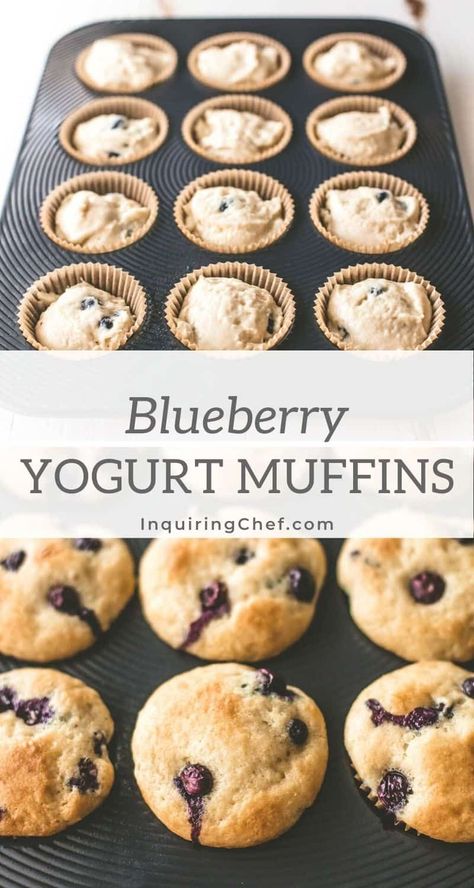 Muffins No Butter, Recipe Using Plain Yogurt, Plain Yogurt Recipes, Plain Greek Yogurt Recipes, Simple Muffins, Blueberry Yogurt Muffins, Greek Yogurt Muffins, Blueberry Yogurt, Yogurt Muffins