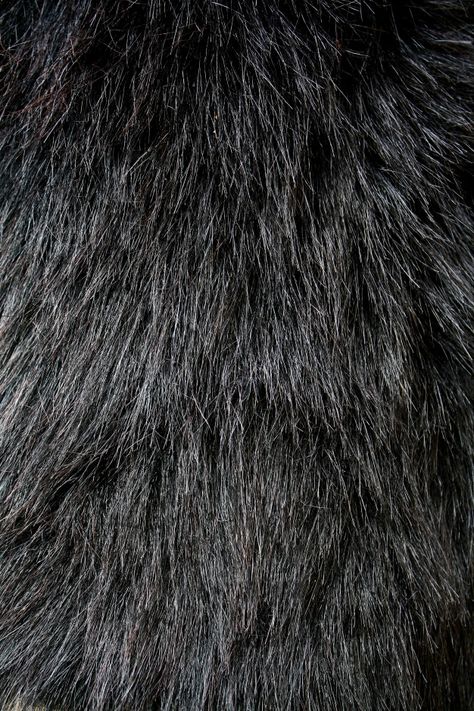 Black fur texture background Fur Reference, Black Hair Texture, Black Fabric Texture, Round Gazebo, How To Draw Fur, Texture Photoshop, Interesting Textures, Natural Face Care, Fur Pattern