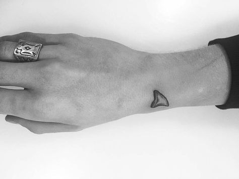 Shark Fin Tattoo, Fin Tattoo, Shark Tooth Tattoo, Hai Tattoo, Small Animal Tattoos, Tooth Tattoo, Jon Boy, Shark Tattoos, Cody Simpson