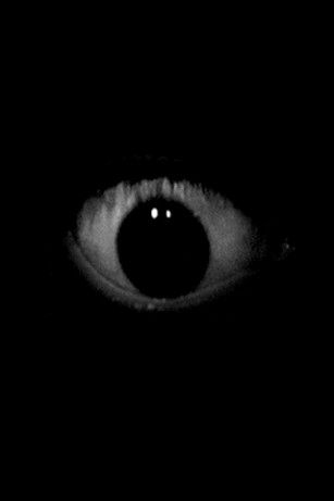 Horror Ambiance, Eye Horror, Eyes In The Dark, Eyes Gif, Creepy Gif, Creepy Eyes, Spooky Eyes, Eyes Dark, Arte Peculiar