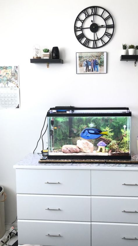 Fish In Room Aesthetic, Fish Tank In Bathroom, Fish Tank Aesthetic Bedroom, Fish Tank In Room, Fish Tank Bedroom, Fish Tank In Bedroom, Bedroom Fish Tank, Desk Fish Tank, Aesthetic Fish Tank Ideas