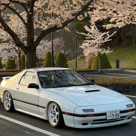 Mazda RX7 FC 🤍  @milbou3 #jdm #supercars #rx7 #mazda #iconiccars #car #cars Rx7 Mazda, Fc Rx7, Rx7 Fc, Japanese Sports Cars, Best Jdm Cars, Drifting Cars, Toyota Mr2, Custom Muscle Cars, Street Racing Cars