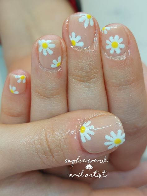 Daisy Acrylic Nails, Daisy Nail Art, Chic Nail Art, Daisy Daisy, Daisy Nails, Nail Stuff, Really Cute Nails, Cute Nail Designs, Fresh Look