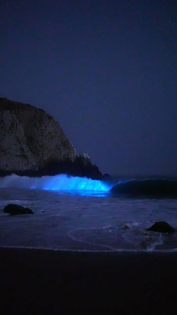 Patrick Coyne on Instagram: "•Bioluminescence• We found bioluminescence in Laguna Beach last night and it was beautiful! I checked a couple of spots but it seems like Crystal Cove has the best conditions and is where this video was taken. I love this clip in particular because I have 4 back to back waves glowing super bright. I tried my best to stay quiet this time so you could hear the ocean instead of me freaking out haha. I hope you enjoy! Shot alongside @joshg_photos - - - - #discoverla Stay Quiet, Dark Beach, Ocean At Night, Sea Of Stars, Crystal Cove, Beach At Night, I Tried My Best, My Fantasy World, Beach Night