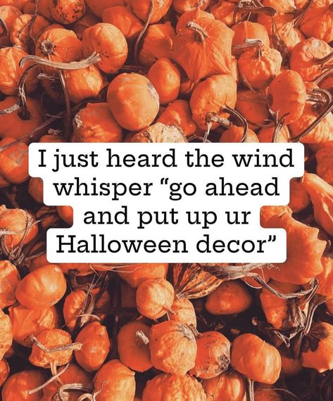 Don’t mind if I do 🥰🎃👻 Ber Months, Fall Girl, Halloween Vibes, Fall Halloween Decor, Hallows Eve, Girl Falling, Deck The Halls, Go Ahead, Just Giving