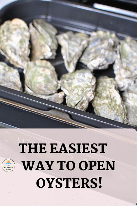 Airfryer Oysters, Air Fried Oysters, Roasted Oysters In Oven, Oysters In Air Fryer, Air Fryer Oysters, Air Fryer Oyster Recipes, Broiled Oysters Recipe, Oysters Grilled, Chargrilled Oysters Recipe