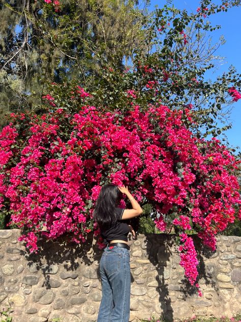 Poses In Garden Ideas, Poses For Garden Pictures, Poses In The Garden, Aesthetic Garden Pics, Poses For Standing Pictures, Poses In A Garden, Photo Poses In Garden, Garden Photography Poses, Garden Aesthetic Outfit