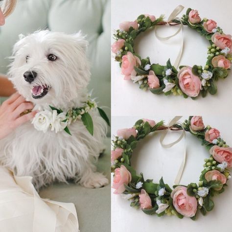 Dog Of Honor Wedding, Dog Wedding Ideas, Wedding Dog Leash, Dog Of Honor, Dog Wedding Outfits, Dog Wedding Attire, Elopement Party, Wedding Dog Collar, Flower Dog