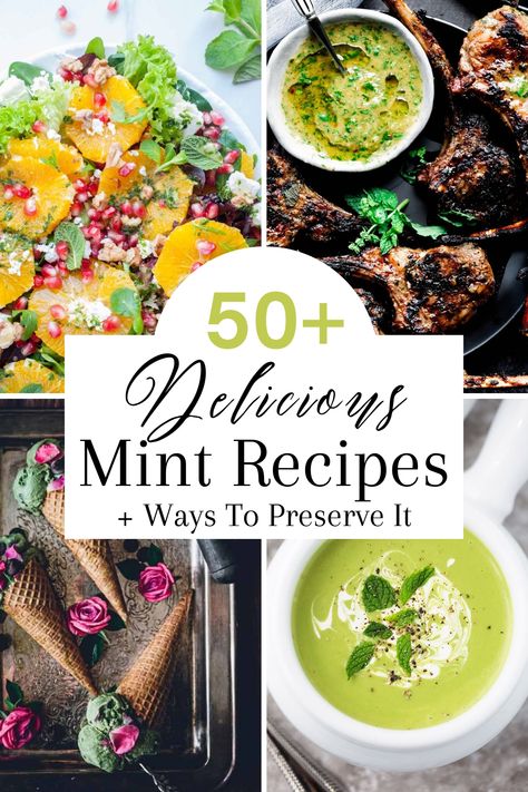 50+ Best Fresh Mint Recipes And How To Preserve Mint - West Coast Kitchen Garden Mint Pasta Recipes, Misty Mints Recipe, How To Use Fresh Mint, Fresh Peppermint Recipes, What To Do With Fresh Mint, Fresh Mint Uses, Recipes With Mint Leaves, Recipes With Fresh Mint, Recipes Using Mint