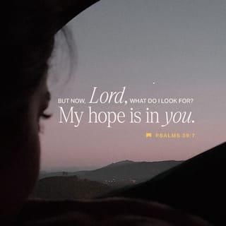 Psalms 39:7 “And now, Lord, for what do I wait? My hope is in You. | New American Standard Bible - NASB 1995 (NASB1995) | Download The Bible App Now New American Standard Bible, Amplified Bible, I Wait, Audio Bible, Bible Versions, Daily Verses, My Hope, Daily Scripture, Bible Reading Plan