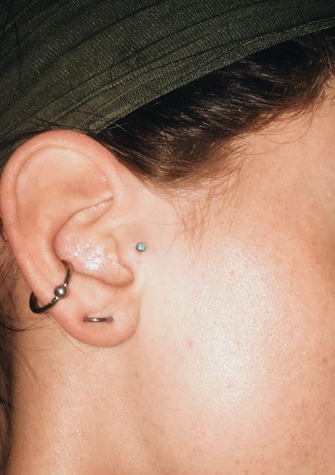 Orbital Lobe, Conch, Tragus Lobe Orbital Piercing, Orbital Lobe Piercing, Orbital Piercing Conch, Orbital Conch Piercing, Lobe Orbital, Orbital Conch, Orbital Piercing, Conch Piercing Jewelry, Tragus Conch