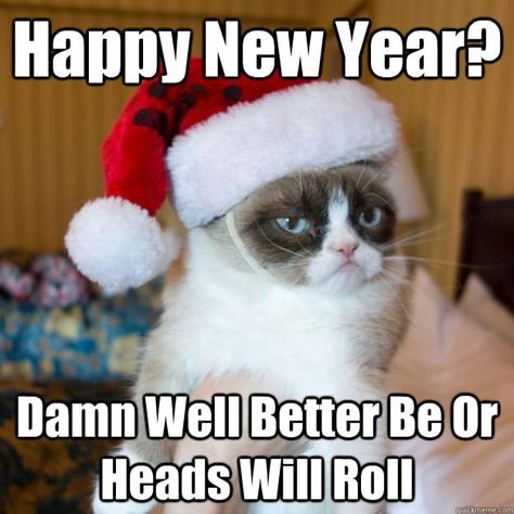 Happy New Year Meme, Funny New Years Memes, Funny Christmas Captions, New Year Jokes, Happy New Year Funny, New Years Eve Quotes, New Year Meme, Christmas Memes Funny, Funny New Year