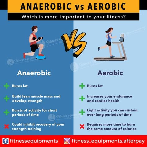 Anaerobic Workouts, Aerobic And Anaerobic Respiration Notes, Anaerobic Exercises, Aerobic Exercises, Aerobic And Anaerobic Respiration, Benefits Of Cardio Exercise, Aerobic Vs Anaerobic Exercise, Anaerobic Respiration, Anaerobic Exercise