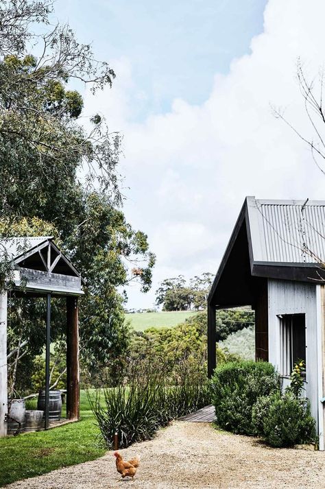 Harts Farm on Victoria's Mornington Peninsula offers bed and breakfast accommodation among the olive groves. When it came to creating an extension for their farmhouse, Penny and Graeme Hart approached family-friend and architect Claire Scorpo. Timber Extension, Australian Country Houses, Australian Farmhouse, Australian Country, Australian Farm, Navy Blue Long Sleeve, Mornington Peninsula, Shed Homes, Country Houses