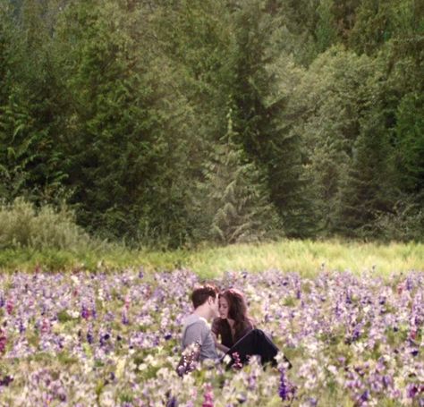 Twilight Flower Field, Eclipse Aesthetic, Twilight Party, Painting Mood, Twilight Scenes, This Kind Of Love, Twilight Book, Fall In Luv, Best Love Stories