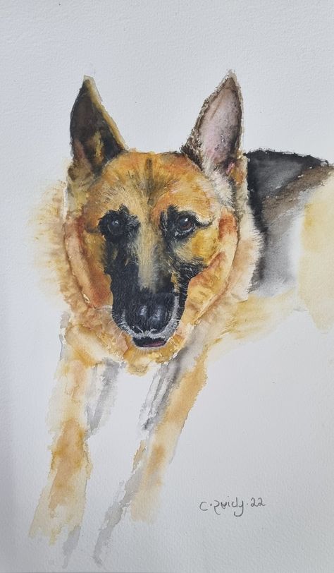 Watercolour painting of a friend's pet German Shepherd that has sadly passed away. Painted on 300gsm cold pressed watercolour paper. Watercolour German Shepherd, Shepherd Watercolor, Watercolor Simple, Portraits Art, Animal Portraits Art, Animal Portraits, Color Painting, Watercolour Paper, Watercolor Animals