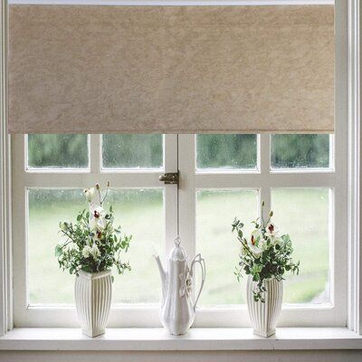 Patio Door Window Treatments, Window Images, Room Darkening Blinds, Window Blocks, Cordless Roller Shade, Window Roller Shades, Bathroom Window Treatments, Best Blinds, Door Window Treatments