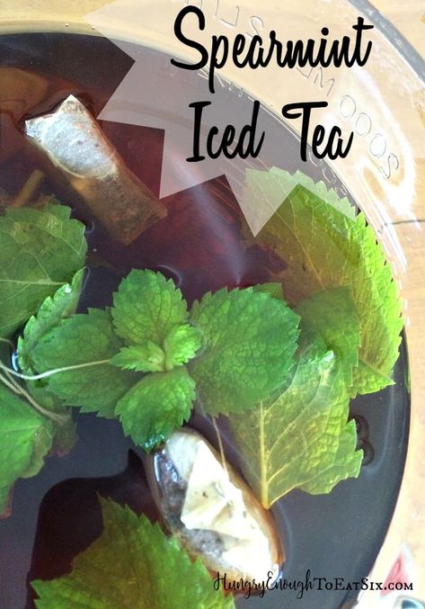 Spearmint Iced Tea Iced Tea With Tea Bags, Spearmint Recipes, Cold Tea Recipes, Fresh Herb Recipes, Mediterranean Recipes Healthy, Herbal Tea Garden, Iced Tea Recipe, Spearmint Tea, Iced Tea Recipes