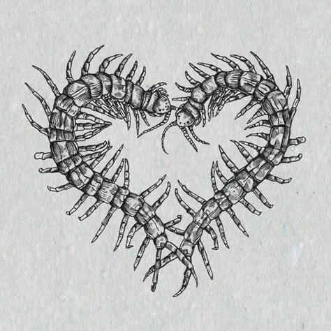 Edgy Girly Tattoo, Centipede Aesthetic, Centipede Tattoos, Centipede Tattoo, American Traditional Tattoo Ideas, Traditional Tattoo Ideas, Armband Tattoos, Funky Tattoos, Insect Tattoo