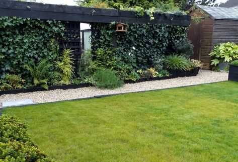 Covering ugly fence - minimal space — BBC Gardeners' World Magazine Ivy Covered Fence, Concrete Fence Posts, Mums Garden, Backyard Aesthetic, Design Backyard, Fence Plants, Concrete Fence, Fence Posts, Deck With Pergola