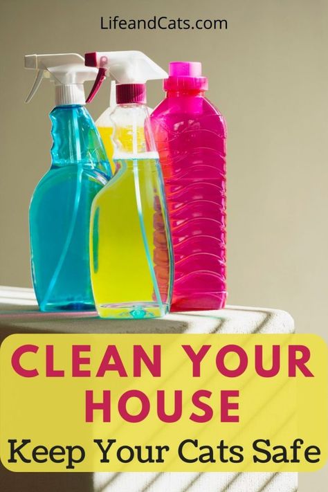 House Cleaning Products, Homemade Cleaning Supplies, Clean Your House, Safe House, Cat Cleaning, Natural Air Freshener, Products Ideas, Cat Care Tips, Natural Cleaners