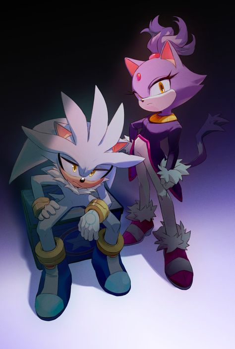 Silver The Hedgehog Fanart, Sonic Heroes, Silver The Hedgehog, Sonic Funny, Sonic Fan Characters, Sonic 3, Blue Hedgehog, Sonic Franchise, Sonic Adventure