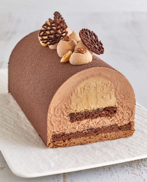 Bûche chocolats & praliné – Clélia Food & Photo Entremet Recipe, Chocolate Cake Toppers, Swiss Roll Cakes, French Cake, Cake Recipes Easy Homemade, Special Cake, Pie Dessert, Easy Cake Recipes, Sweet Cakes