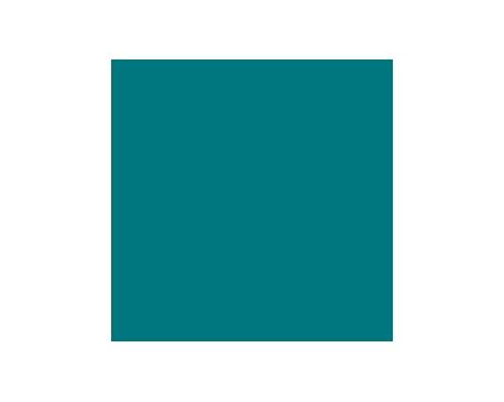 Really Teal SW6489 Paint by Sherwin-Williams - modlar.com Teal Front Door Colors Sherwin Williams, Really Teal Sherwin Williams, Sherwin Williams Really Teal, Really Teal, Teal Front Doors, Logo Color Schemes, Manchester House, Teal Color Palette, Zyla Colors