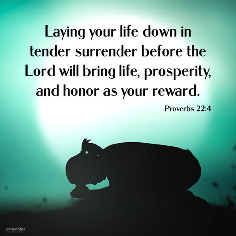 Proverbs 22 4, Bible Proverbs, A Bible Verse, Proverbs 22, Everyday Quotes, Verses Wallpaper, Prayer Scriptures, Bible Verses Quotes Inspirational, Daily Bible Verse