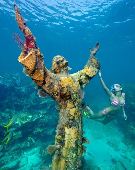 Christ Of The Abyss, Underwater Park, Holmes Beach, Cave Diving, Underwater Art, Maui Vacation, Visit Florida, The Abyss, Big Island Hawaii