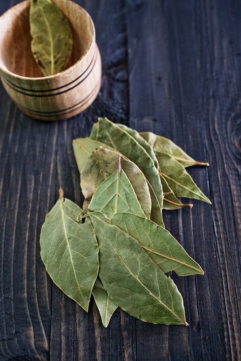 The Best Place to Store Bay Leaves Is Not in Your Spice Drawer — Tips from The Kitchn How To Reheat Steak, Bay Leaf Tree, Pork Cooking Temperature, Spices Photography, Spice Drawer, Cooking Classes For Kids, Cooking Supplies, Bay Leaves, Spices And Herbs