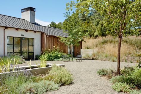 Lawn Free Yard, Outdoor Eating Spaces, California Native Landscape, Fescue Lawn, Lawn And Landscape, Modern Cottage, Courtyard House, Outdoor Curtains, Outdoor Dining Area