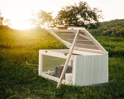 When I decided to introduce quail onto our farm, I knew two things: First—I wanted to expose them to all of the tasty plants, bugs, soil minerals, and microorganisms that a pasture-life would offer. Second— I needed their shelter and care to be easy and cost effective. Pasturing Quail in Tractor Quail Pens On The Ground, Quail Tractor Diy, Quail Tractor, Quail Coop, Pastured Poultry, Raising Quail, Hardware Cloth, Leftover Paint, How To Make Snow