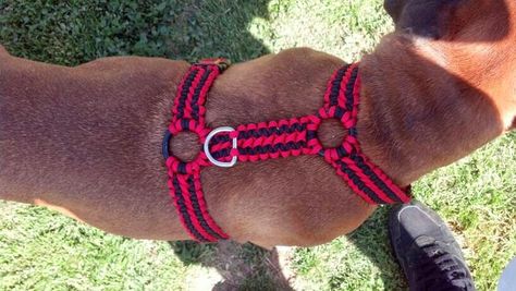 http://paracordplanet.blogspot.com/2014_05_01_archive.html Diy Dog Harness, Dog Harness Pattern, Paracord Braids, Paracord Dog Collars, Paracord Diy, Paracord Knots, Dog Best Friend, Ideal Toys, Paracord Projects