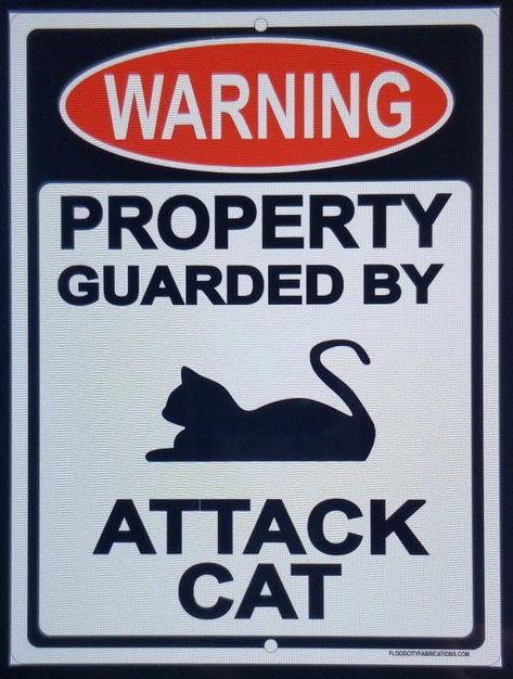 Caution Signs Aesthetic, Warning Signs Aesthetic, Cats Black, Cat Tattoo Designs, Bedroom Signs, Pet Signs, Cat Signs, Cat Posters, Warning Signs