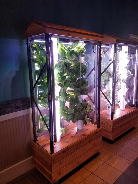 Indoor Agriculture, Greenhouse Cabinet, Garden Tower, Aquaponics Greenhouse, Hydroponic Garden, Indoor Farming, Hydroponic Farming, Hydroponics Diy, Vertical Farming