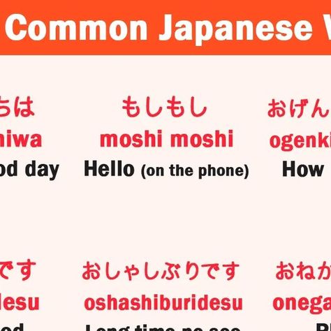 Japanese Lessons, How To Speak Japanese, Speak Japanese, Basic Japanese, Basic Japanese Words, Learning Japanese, Go To Japan, Learn Japanese, Japanese Words