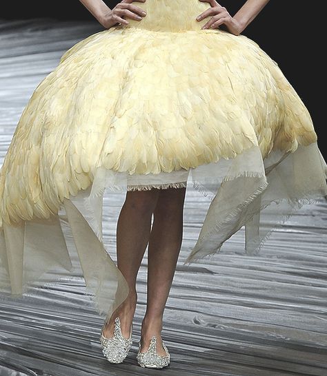 Feathers. 90s Editorial, Bill Cunningham, Interesting Textures, Blue Bird, Everyday Life, Feathers, Editorial, Ballet Skirt, Couture