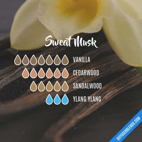 Musk Essential Oil Blend, Spring Essential Oil Blends, Diy Perfume Oil, Musk Essential Oil, Scent Blends, Essential Oil Combinations, Fragrance Blends, Essential Oils Blends, Essential Oil Diffuser Blends Recipes