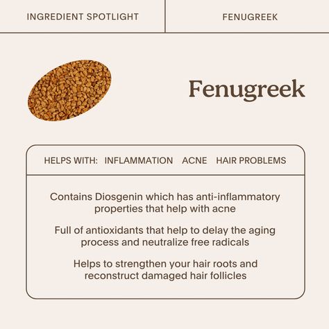 Fenugreek Water Benefits, Benefits Of Fenugreek For Women, Fenugreek Tea Benefits, Fenugreek Benefits Women, Fenugreek Tea, Fenugreek Benefits, Fenugreek Seed, Water Health Benefits, Healthy Diets