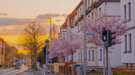 City View Wallpaper Laptop, Lock Screen Wallpaper Computer, Japan Wallpaper Desktop, Japan Desktop Wallpaper, Dekstop Walpapaper Aesthetic Hd 1080p, Aesthetic Backgrounds Horizontal, Frühling Wallpaper, Computer Wallpaper Hd, Laptop Wallpaper Desktop Wallpapers