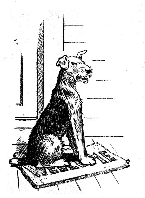 Verdun Belle, originally published under the title "Two gentlemen and a lady" by Alexander Woollcott; illustrated by Edwina. 1928 Airedale Terrier Drawing, Carlos Condit, Terrier Drawing, Moose Tattoo, Dog Drawing Simple, Vintage Drawings, Vintage Embroidery Transfers, Dog Motif, City Dog