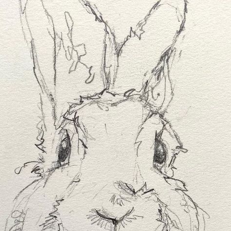 Andrea Lavery on Instagram: "Wow it’s been a long time since I’ve just sat down and sketched with a pencil. I had forgotten how relaxing it is. 😌 #sketching #rabbit #bunnies #practicemakesprogress" Crazy Bunny Drawing, Wild Rabbit Drawing, Rabbit Sketches, Andrea Lavery, Drawing Bunny, Rabbit Sketch, Bunny Sketch, Bunny Rabbit Art, Bunny Sketches